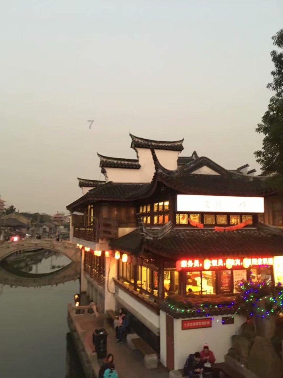 金吉拉属于什么品种呢?